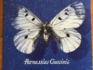 Francesco Guccini ?– Parnassius Guccinii LP VINILE 33 Giri 12” 1993