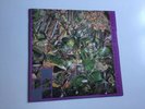 The Stone Roses so young / tell me 12” 1st edt 1st pressing thin 001 ex ex