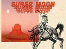 Dirty Heads - Super Moon LP NEW
