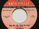 LEE ROGERS rare How Are You Fixed For Love northern soul 45 LISTEN