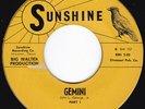 TX Mod Soul Jazz THE RAYS Gemini 45 Sunshine HEAR
