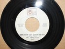 RICOCHETTS *Come In My Love (Out Rain)* LOSING YOU Garage Psych 45 on QUILL 102
