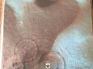 Pink  Floyd Schallplatte „Meddle“ Signiert. Rarität Und Unikat