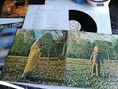 THE ALLMAN BROTHERS BAND - BROTHERS AND SISTERS - VINILE - LP 33 GIRI - 12