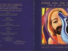 DEREK And THE DOMINOS – Fillmore East, October 24, 1970 - 3 vinyls