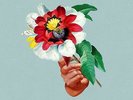 Maribou State Kingdoms in Colour LP New 2018