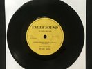JESSE GREEN Gimmi Gimmi Your Loving RARE EAGLE PROMO ES001 UK 7” 45 VINYL