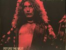 Led Zeppelin Before The West Was Won Live At Fillmore West Colored Vinyl