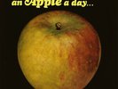 Apple-An Apple A Day-'69 UK Psych Rock-NEW LP
