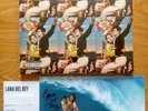 LANA DEL REY NORMAN FUCKING ROCKWELL VINYL LIME GREEN 2LP SIGNED AUTOGRAPH PRINT