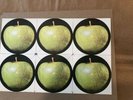 Beatles-Uncut Apple Labels