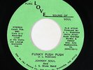 Funk 45 - Johnny Soul and J.S. Blues Band - Funky Push Push - Pure Love - mp3