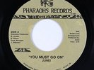 Modern Soul Boogie 45 - Junei - You Must Go On/Let's Ride - Pharaohs - mp3