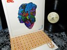 1967 ? FOREVER CHANGES ? Orig ARTHUR LEE LOVE ? WEST COAST PSYCH Garage DOORS +