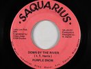 Funk Psych 45 - Purple Snow - Down By The River - Saquarius - mp3