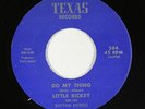 Funk 45 - Little Rickey and the Rhythm Express - Do My Thing - Texas - VG++ mp3