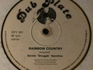 RARE DENNIS HAMILTON RAINBOW COUNTRY orig DUBPLATE 12