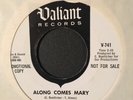 THE ASSOCIATION - ALONG COMES MARY, WHITE LABEL PROMO 45 RPM, SUPER RARE