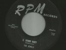 DOOWOP R&B ROCKERS- JEWELS - SHE'S A FLIRT  /  B.BOMB BABY  -HEAR - 1956 RPM