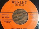 DOO WOP 45 JESTERS Winley 221 I'M FALLIN IN LOVE / PLEASE LET ME LOVE YOU