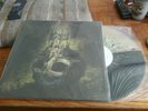 THE DEVIL WEARS PRADA COLOR LP UNDEROATH AUGUST BURNS RED NORMA JEAN CHIODOS