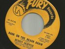 NEW BREED R&B bw TEEN DOOWOP- BUDDY SKIPPER -  BACK ON THE BEACH -HEAR - on FURY