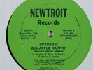 Spyder-D 