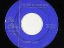 Sweet Soul 45 - Teddy Cash - You Are So Wonderful - Cha Cha - mp3