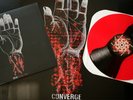 CONVERGE - You Fail Me 12