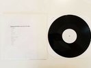 PINHEAD GUNPOWDER Jump Salty LP TEST PRESS vinyl.green day.crimpshrine RARE