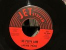 JACKIE PAINE 45 No Puppy Love TEXAS NORTHERN SOUL on JETSTREAM Jet Stream