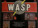 w.a.s.p. animal Lp