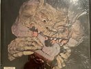 Black Cat Bones “Barbed Wire Sandwich” LP 1971 RARE PSYCH HARD ROCK NM In Shrink