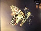 TOBIN, Amon - ISAM - Vinyl (2xLP + MP3 download code)