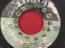 Ruby Andrews - Just Loving You / The Love I Need - Zodiac - RARE SOUL 45 HEAR