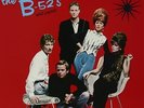The B-52's - Wild Planet +++ 140g Vinyl+++MFSL MOFI 1-014 +++NEU+++OVP