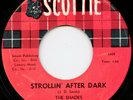 SHADES on Scottie —STROLLIN' AFTER DARK— mod r&b surf shaker instro 45