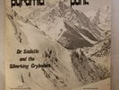 Vinyl LP Record - Dr. Sadistic And The Silverking Crybabies - Pyramid Punk RARE