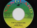 R&B Soul 45 - Junior Wells - Stomach Ache/Shake It Baby  - Vanguard - VG+ mp3