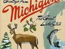 Sufjan Stevens- Michigan Vinyl Record