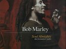Bob Marley Soul Almighty - The Formative Years Vol. 1 JAD Records Vinyl LP