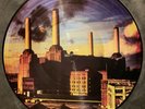 PINK FLOYD Animals Picture Disc