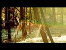CHILDISH GAMBINO Camp 2x LP NEW VINYL Glassnote