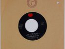 TOWNES VAN ZANDT: No Place To Fall US TOMATO ’78 Blues Rock Folk 45 VG++