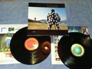 PINK FLOYD delicate sound of thunder 1988-UK FIRST  PRESS -EMI - 2LP -N/MINT