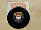 The Sheep Hide & Seek -- Twelve  Months Later 45 Record NOS