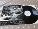 Nature's Dream-Harp Robert Archer UK Private Press Signed Ambient Glastonbury LP