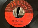 JACKIE PAINE 45 No Puppy Love TEXAS NORTHERN SOUL on JETSTREAM Jet Stream