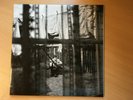 PAUL McCARTNEY - Chaos And Creation In The Backyard - LP - UK - Beatles