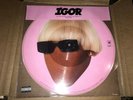 Tyler The Creator Faceless IGOR Picture Vinyl Disc NEW IN HAND w/ air freshener